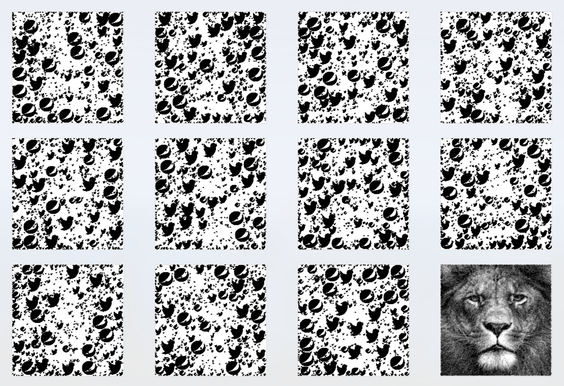 results with lion